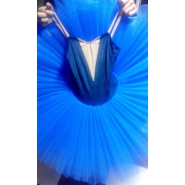 Blue BIrd