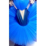 Blue BIrd