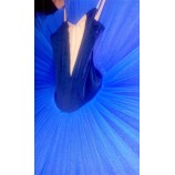 Blue BIrd