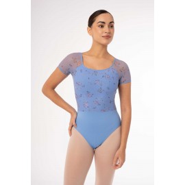 Felicity, Petite Fleur Intermezzo