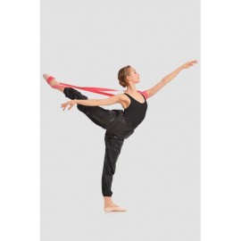 Flexibility Band